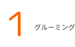グルーミング